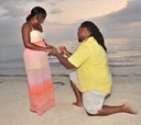 Sunset Proposal