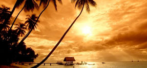 Honeymoon2